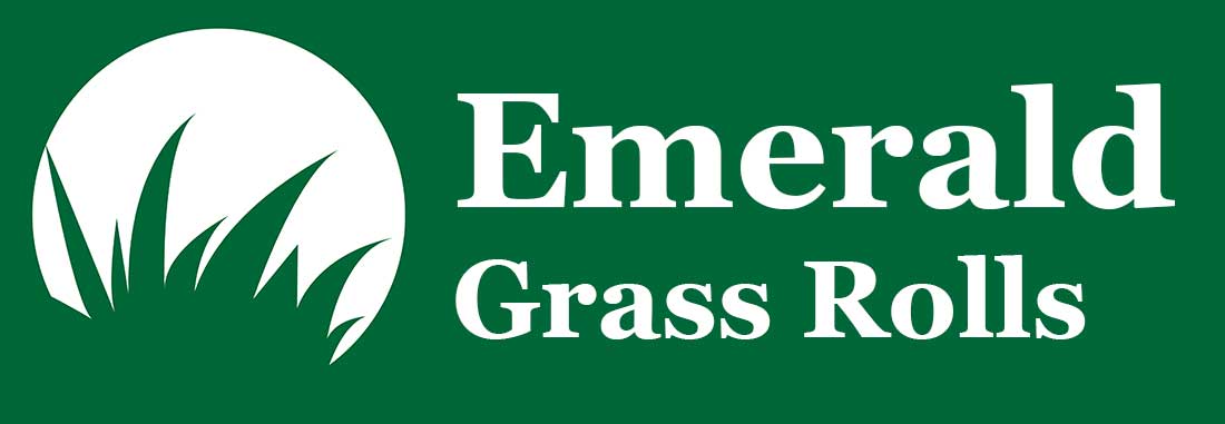 Emerald Grass Rolls